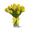 Sunny Yellow Tulips